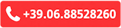 +39.06.88528260